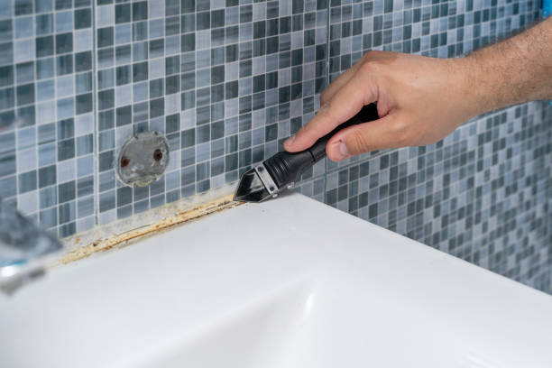 Best Mold Removal Specialists  in Colorado City, TX