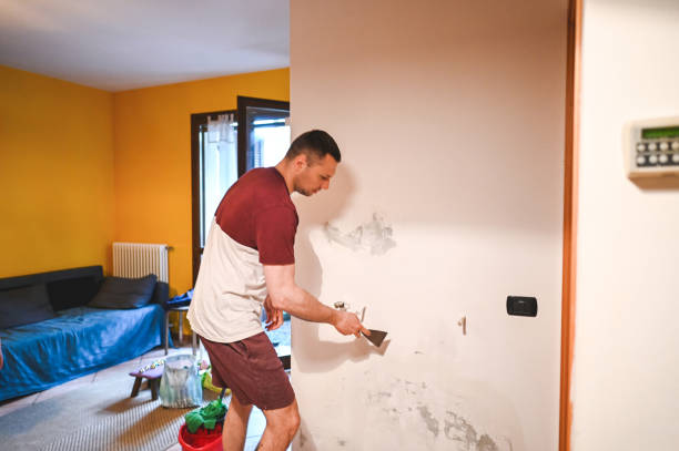 Best Fast Mold Removal  in Colorado City, TX